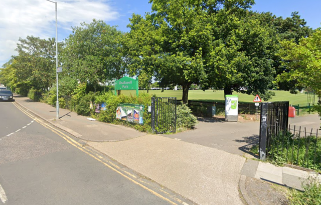 <p>Several children were taken to hospital after a tree fell in the park</p>