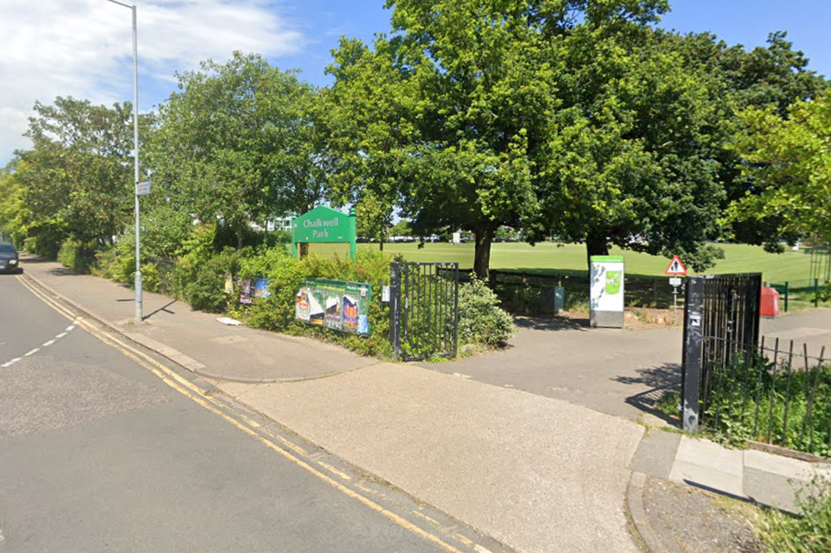 Tree collapse that killed girl, 7, investigated by police