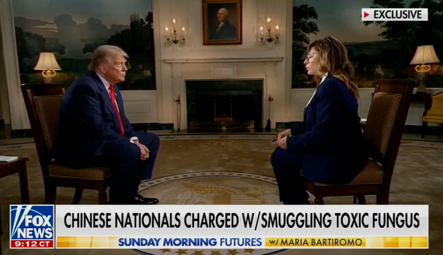 <p>Donald Trump interviewed by Maria Bartiromo on Fox News</p>
