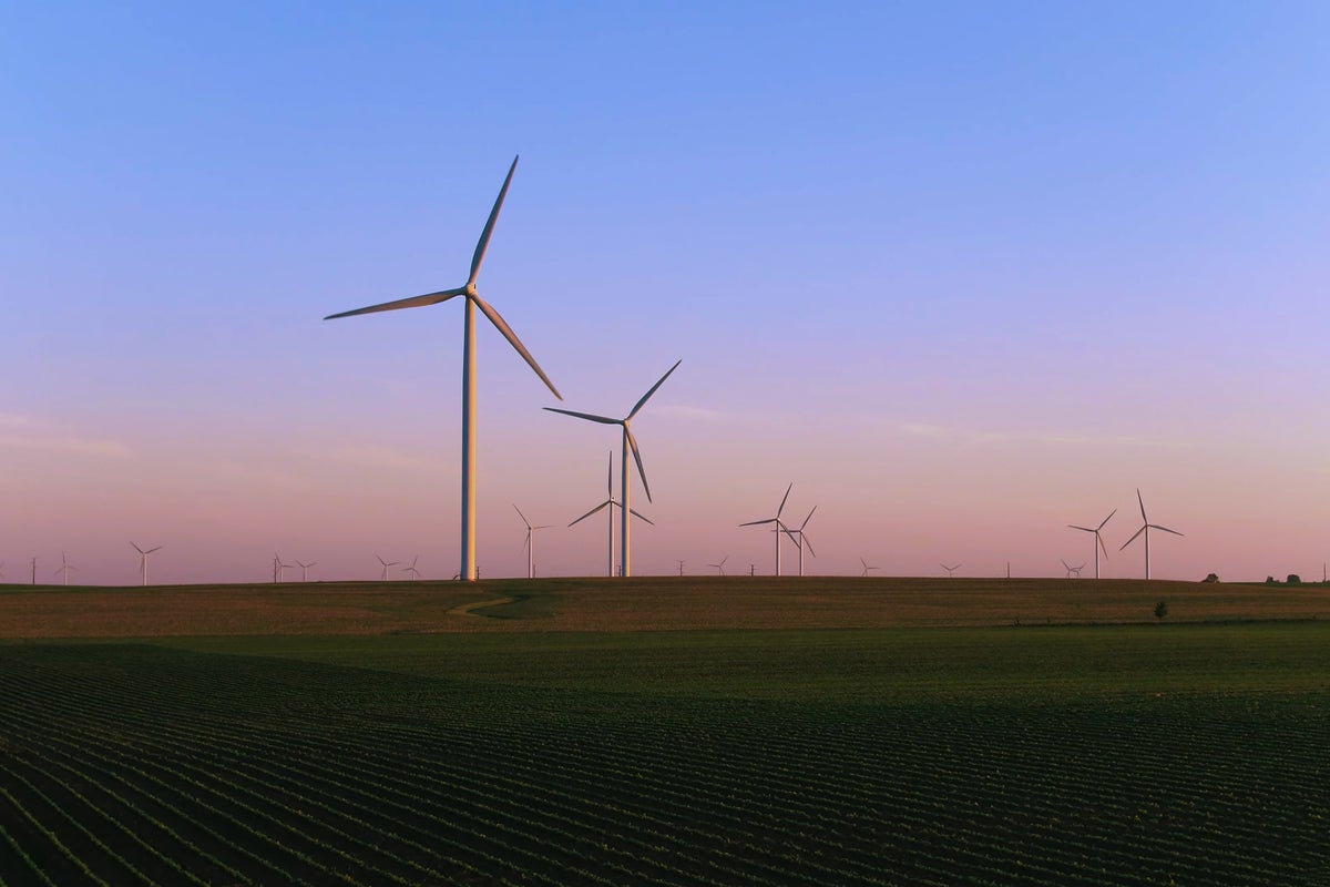 Powering Net Zero: investment and incentives for the journey