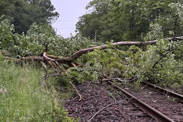 A tree fell on railway lines near Beattock, Dumfries and Galloway causing major disruption (Avanti West Coast)