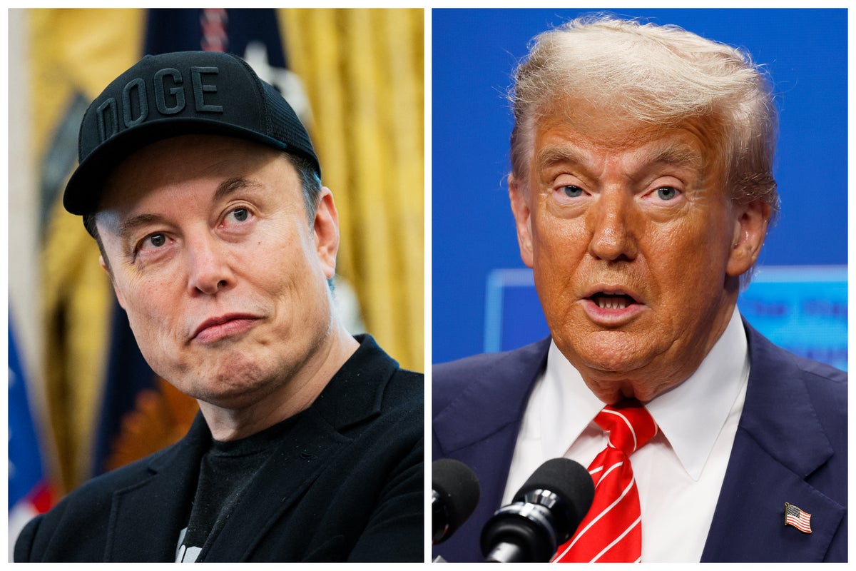 Musk will ‘do everything to damage’ Trump and is building political influence to rival MAGA, mogul’s former friend reveals