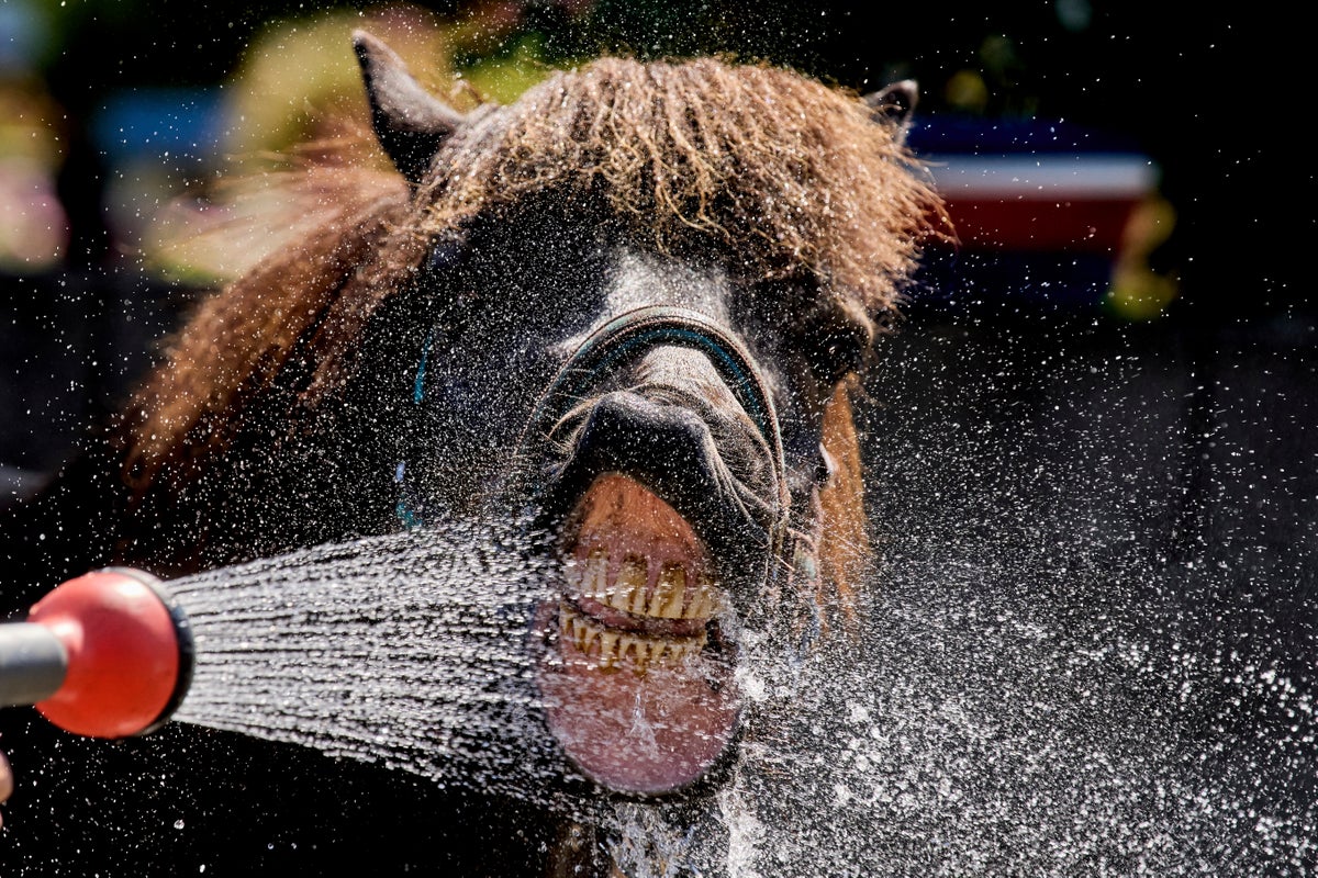 Photos show how extreme heat is affecting parts of Europe