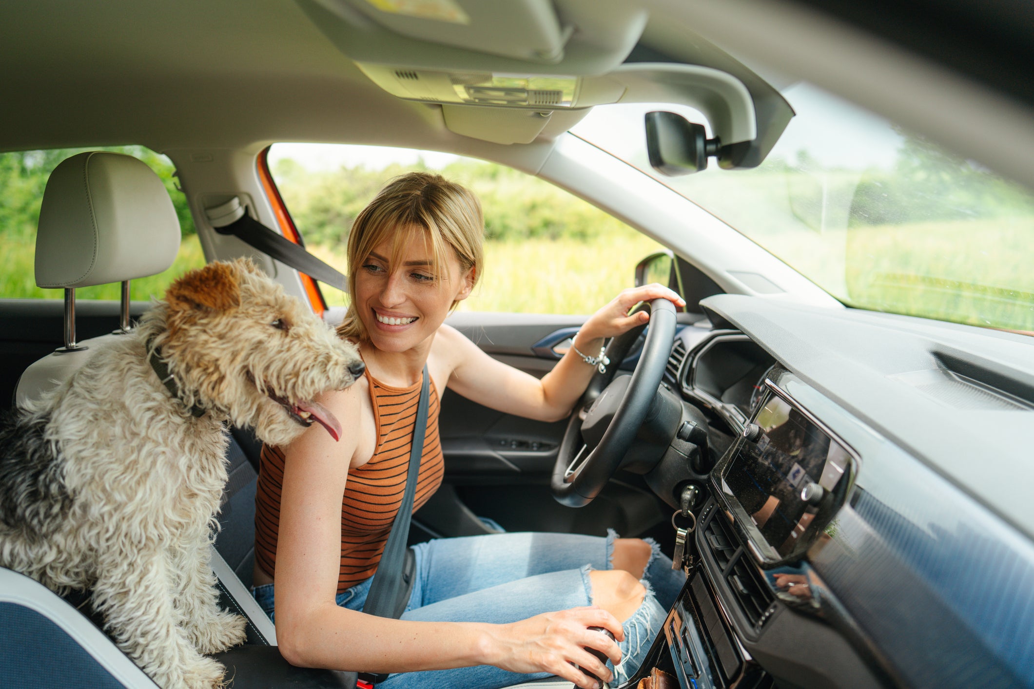 Aysha Kent, a veterinarian in Blue Cross, urged its owners to avoid traveling with pets during the upcoming heat wave