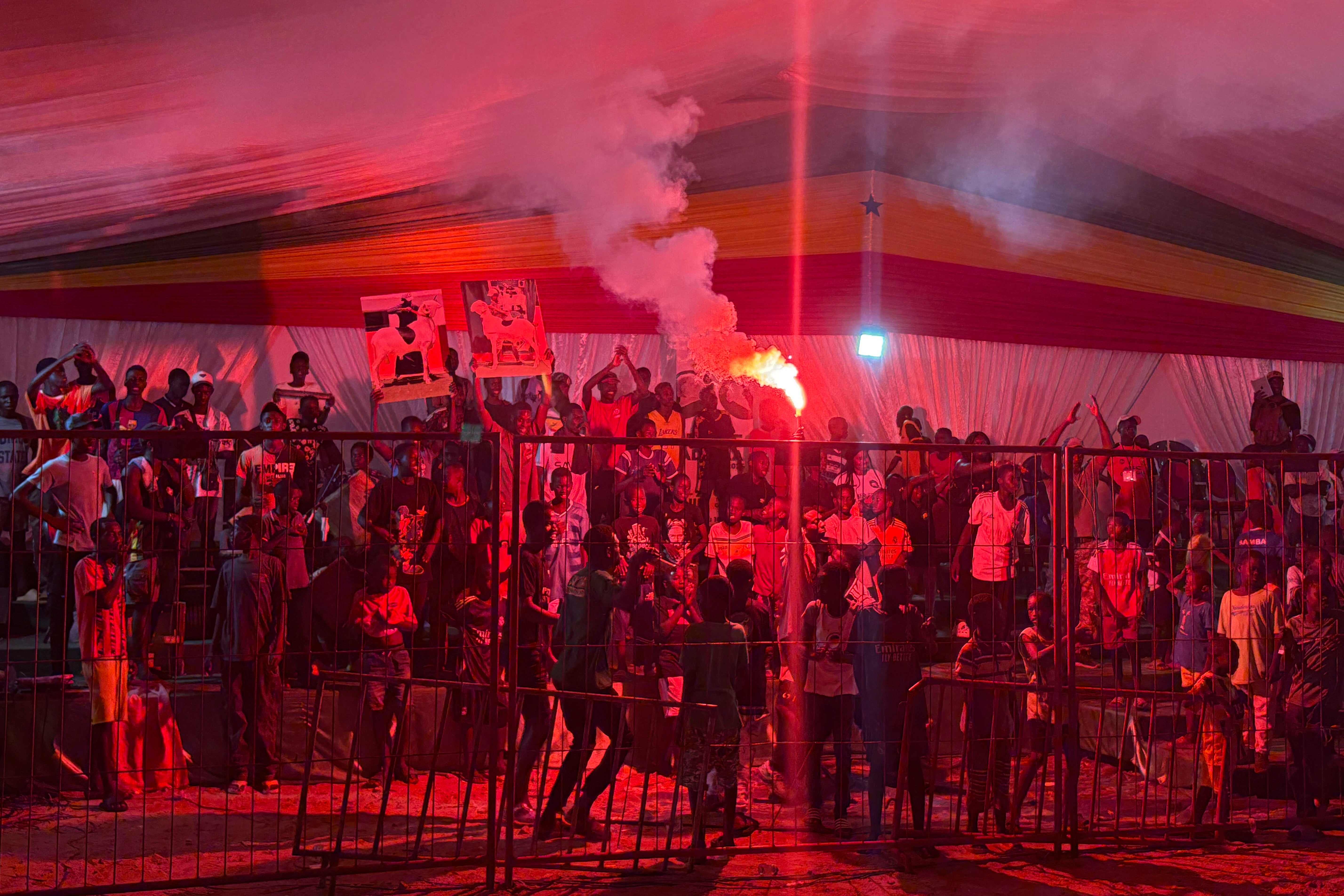 Senegal Luxury Sheep Contest