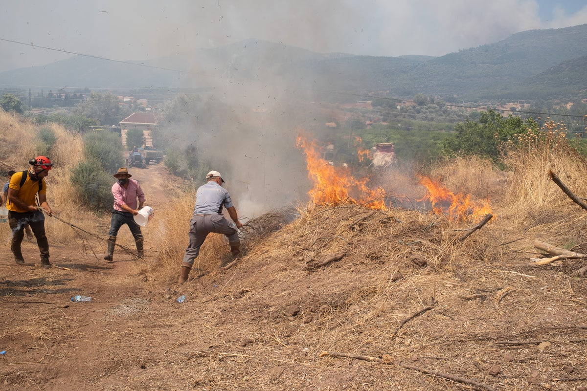Europe heatwave: Spain summer heat breaks records as 50,000 flee Turkey wildfires