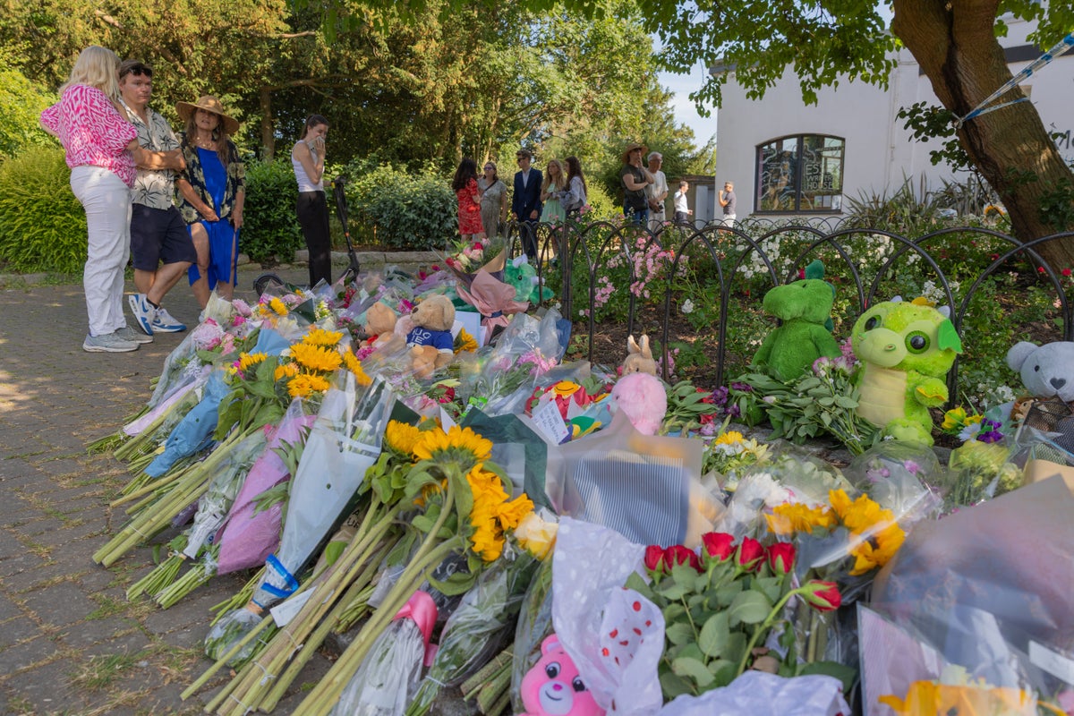 Police investigating collapse of tree in park that killed 7-year-old girl and left second child fighting for life