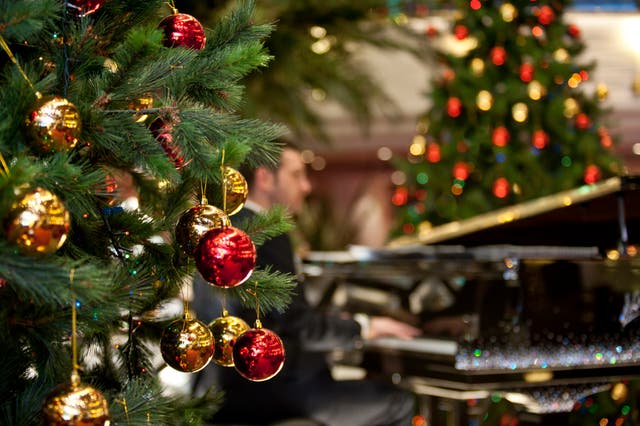 <p>A Christmas cruise can help you celebrate the festive period without  worrying about the turkey </p>