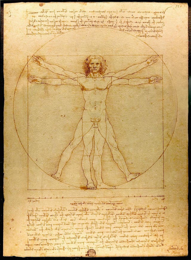 <p>Leonardo da Vinci's The Vitruvian Man, 1490</p>