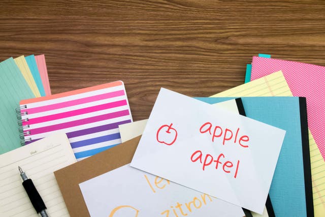 Around half of GCSE students in state schools in England study a modern foreign language (Alamy/PA)
