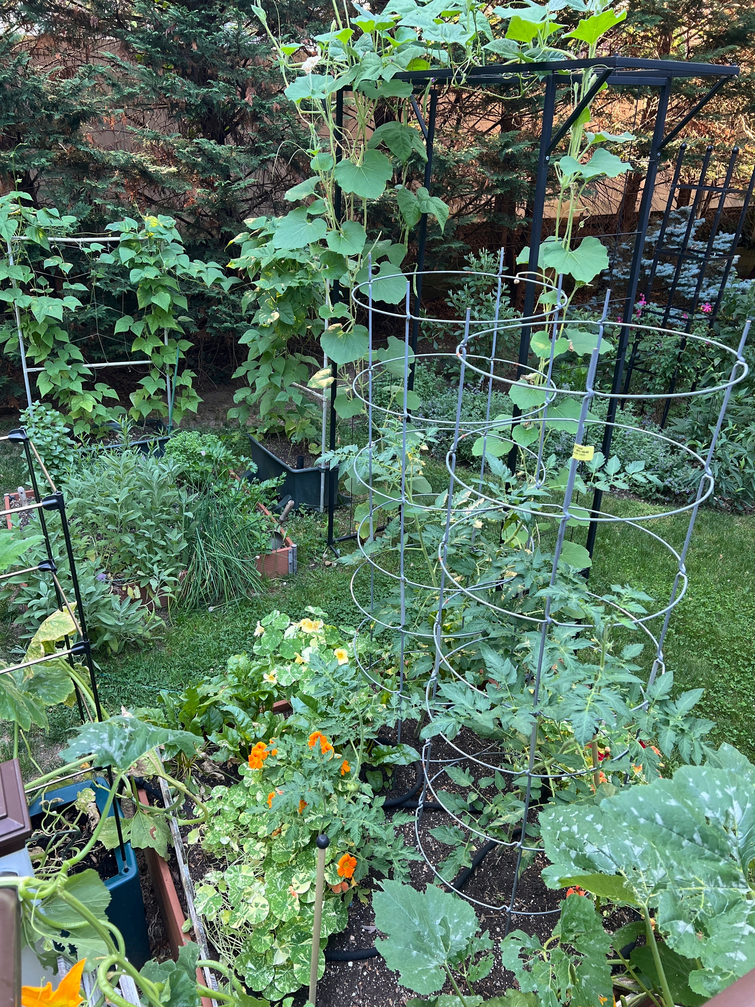 Gardening - Small Spaces