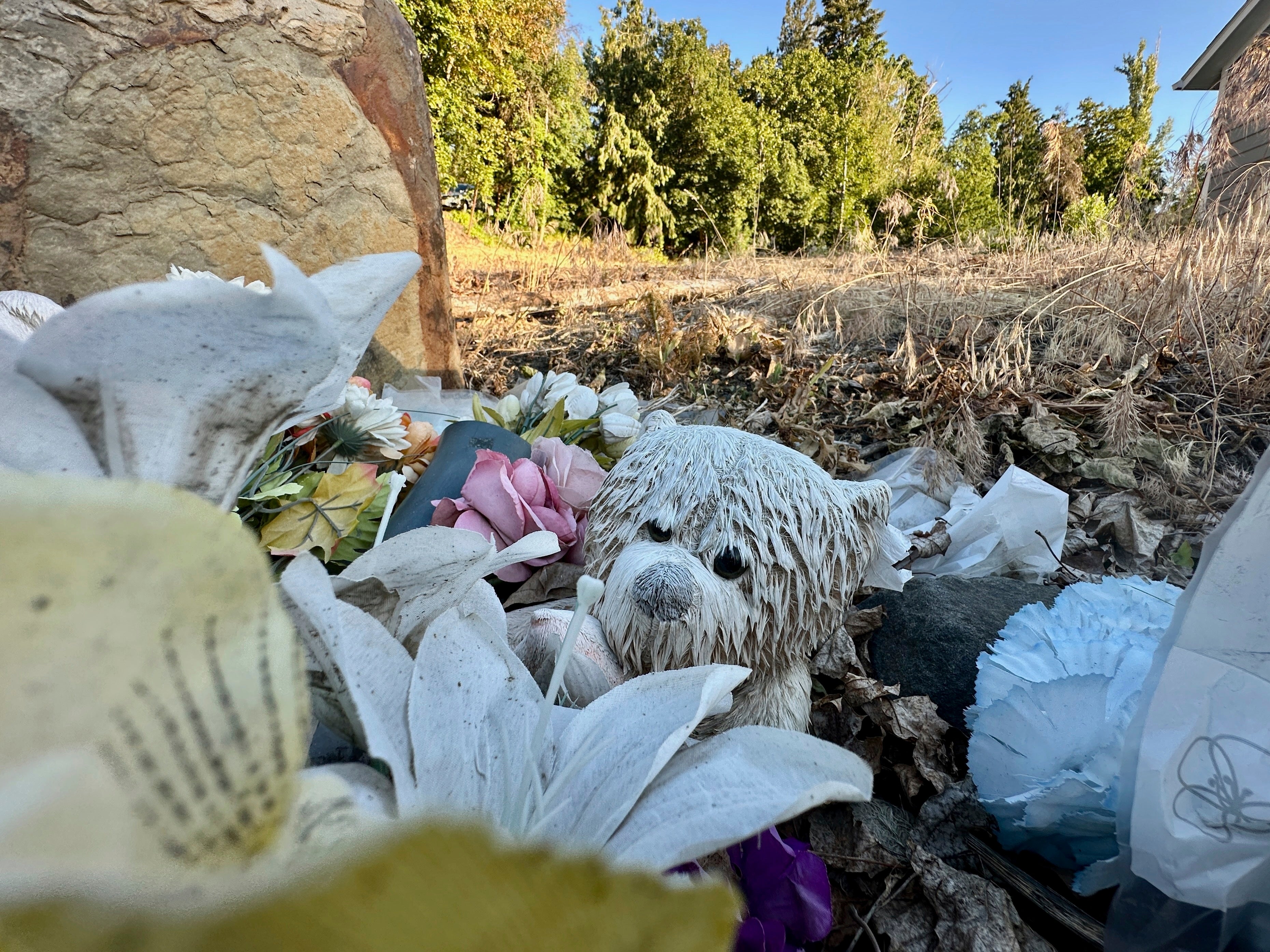 Four Killed University of Idaho