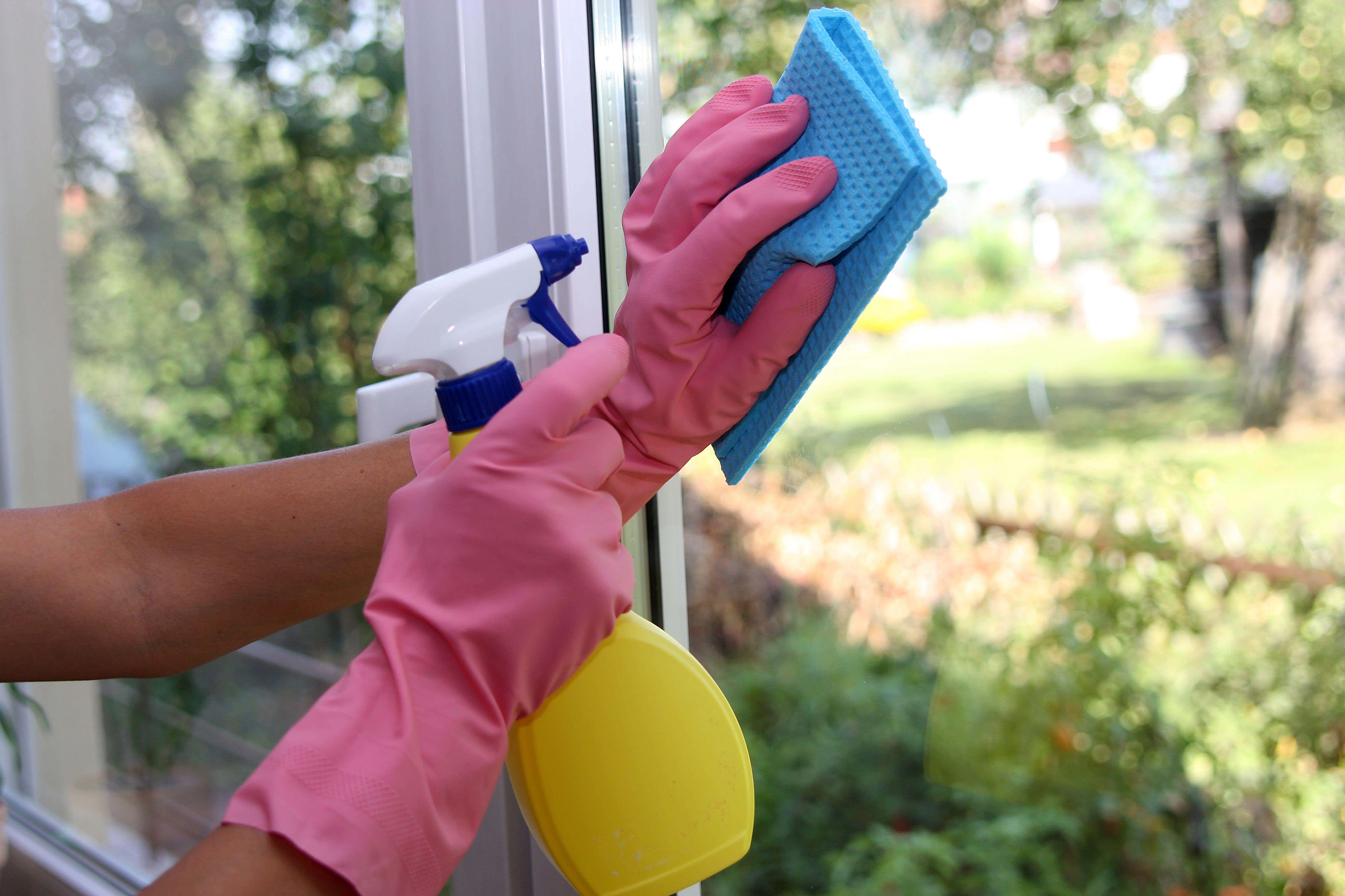 <p> Mantener la casa impecable le cuesta tiempo libre a millones de personas  </p>