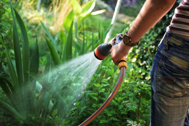 <p>Yorkshire Water could be the first to implement a hosepipe ban this year </p>