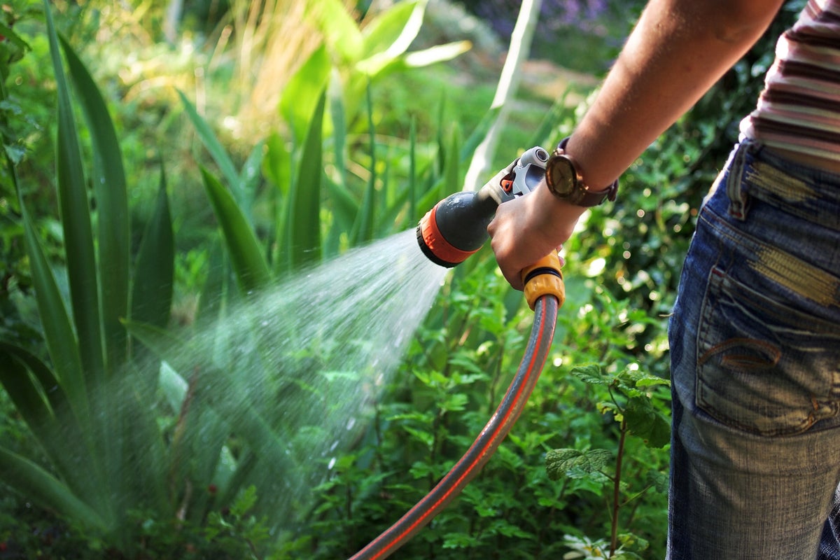 Hosepipe ban looms for millions of Yorkshire households
