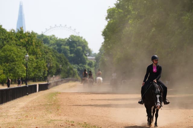 The mean average temperature across the month was 16.9C, beating the previous record of 16.7C set in 2023 (Jonathan Brady/PA)