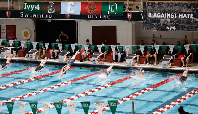 Trump Education Penn