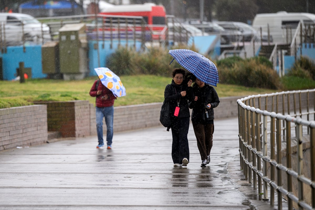 Australia bomb cyclone live: Coastal residents told to ‘evacuate now’ as powerful storm halts flights Australia bomb cyclone live: Coastal residents told to ‘evacuate now’ as powerful storm halts flights