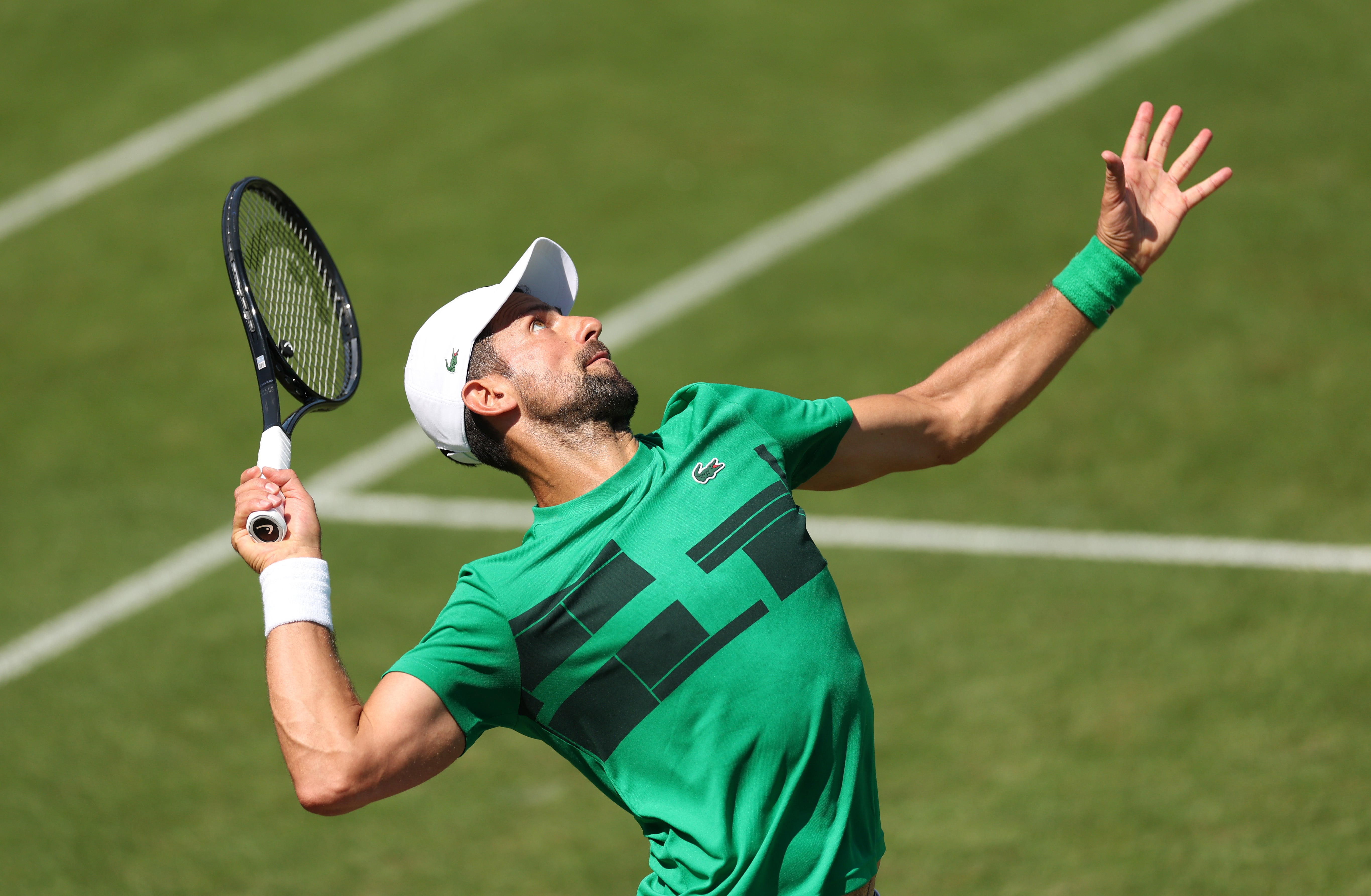 <p>Novak Djokovic is gunning for an eighth Wimbledon title this fortnight</p>