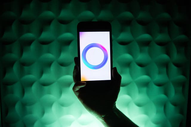<p>A phone displaying the Meta's artificial intelligence logo  in Brittany, France, on 11 April 2025</p>