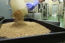 US has reclosed its southern border after a flesh-eating parasite is seen further north in Mexico