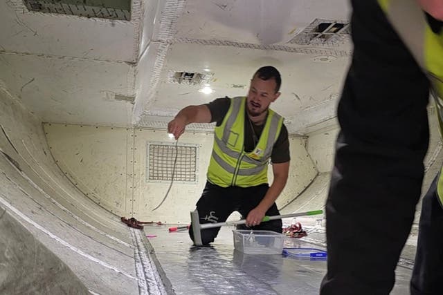 <p>In thit photo released by The Snake Hunter, snake handler Mark Pelley lifts a a harmless 60-centimeter (2-foot) green tree snake in the cargo hold of a plane at Melbourne Airport, Tuesday, July 1, 2025. (The Snake Hunter via AP)</p>