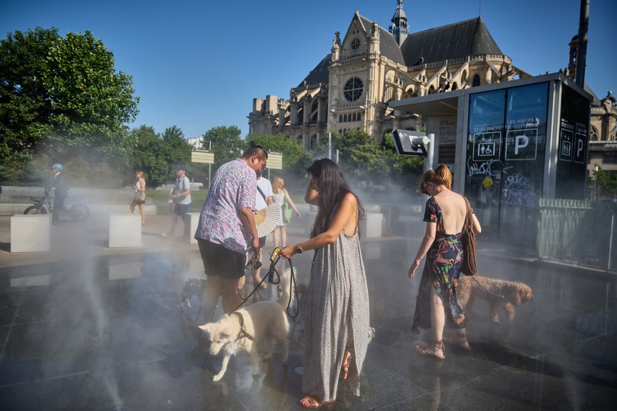 Five things every pet owner should do during a heatwave – UK Times Five things every pet owner should do during a heatwave – UK Times