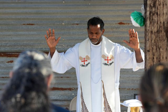 Saguaro Cactus-Blended Beliefs