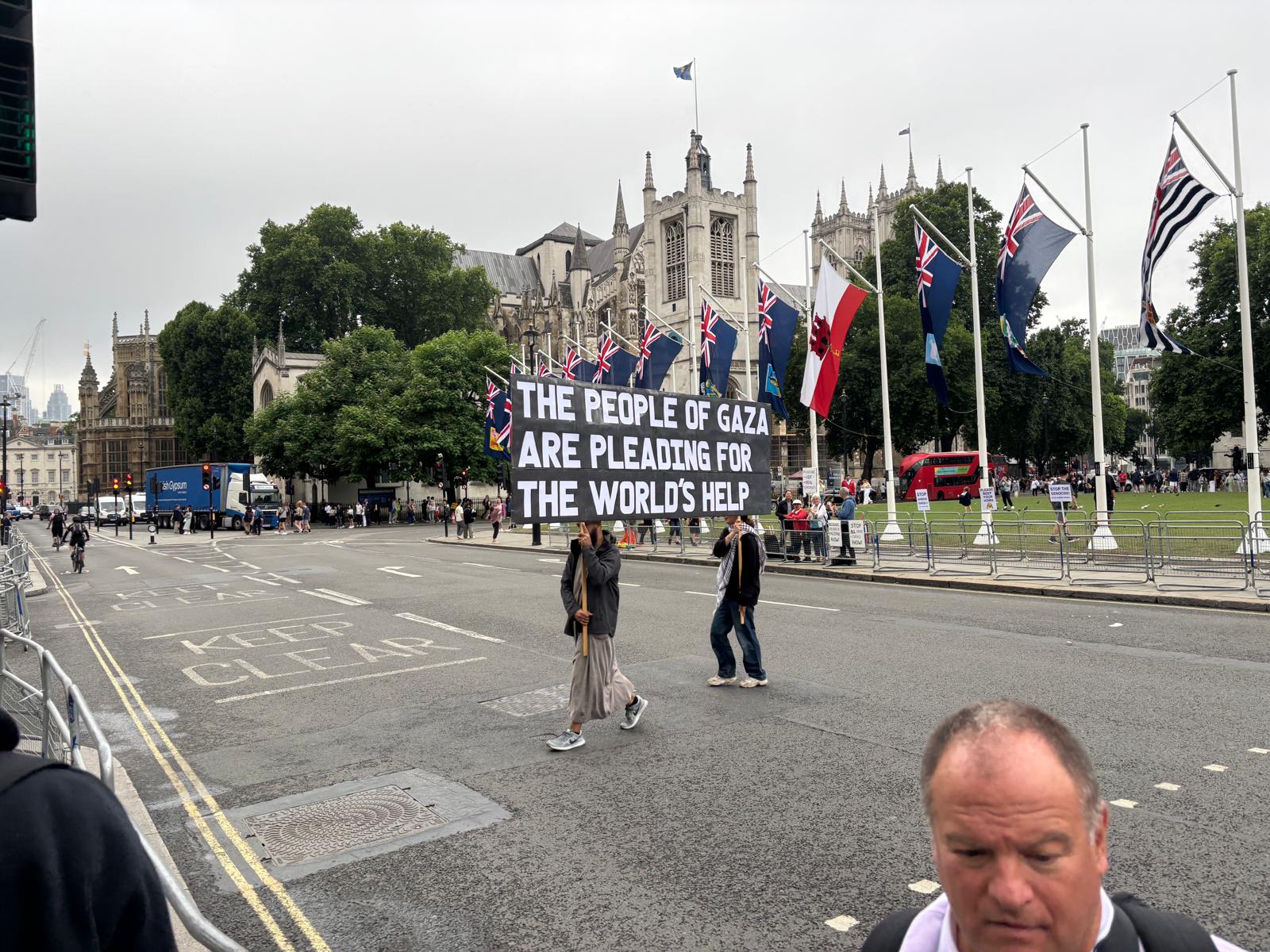 Protesters outside of Parliament