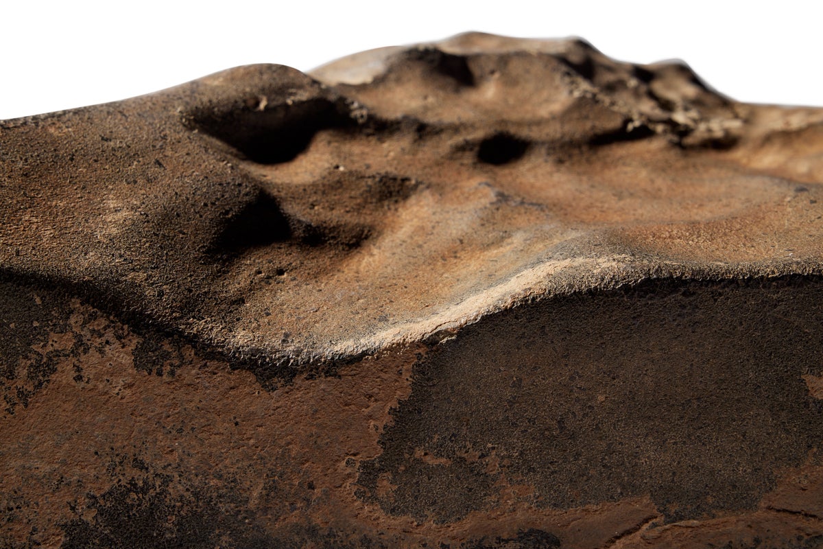 Largest ever chunk of Mars which fell to Earth in meteor strike goes up for auction