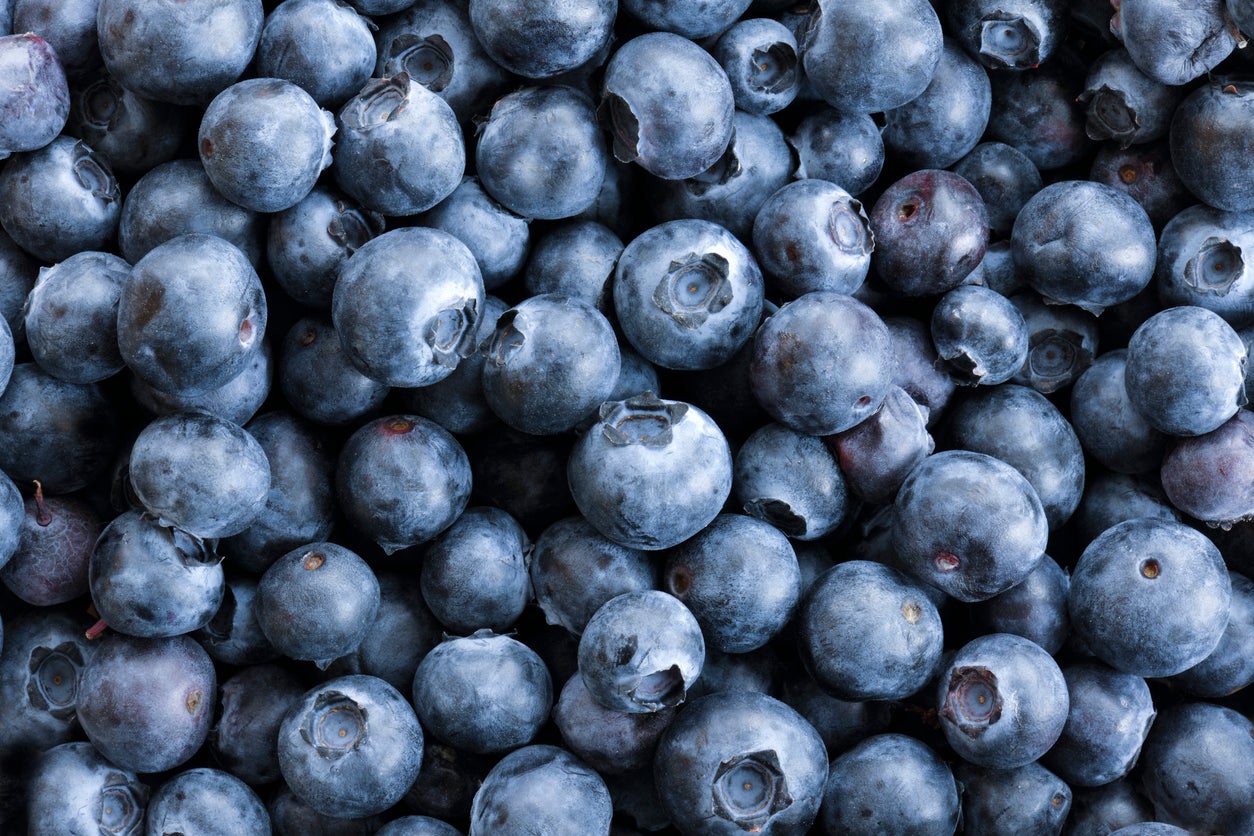 Alma Pak International LLC initially recalled 400 cases of its blueberries in June