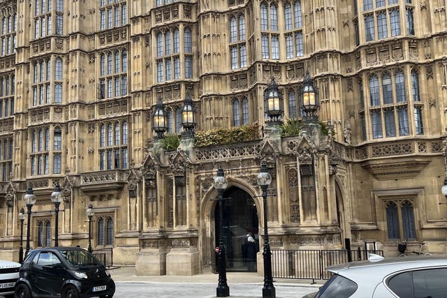 <p>Peers in the House of Lords voted against the crackdown on zero-hours contracts</p>