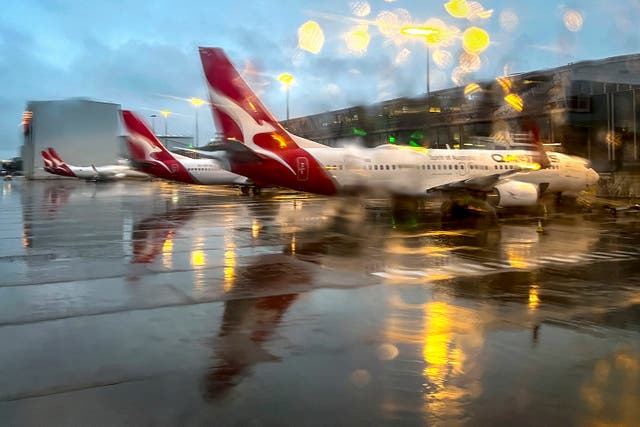 <p>In this photo taken on July 1, 2025, Qantas Airlines Boeing 737 planes sit at the Sydney airport domestic terminal on a rainy day</p>