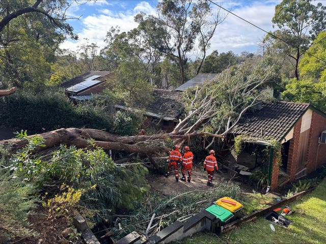 <p>Emergency workers clear fallen trees</p>