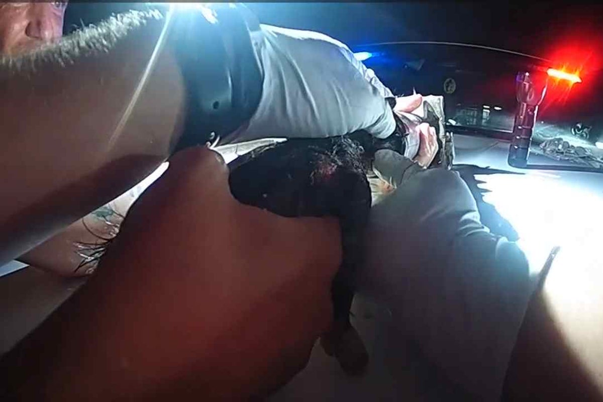 Watch: Tiny kitten rescued from pipe in Florida by firefighters