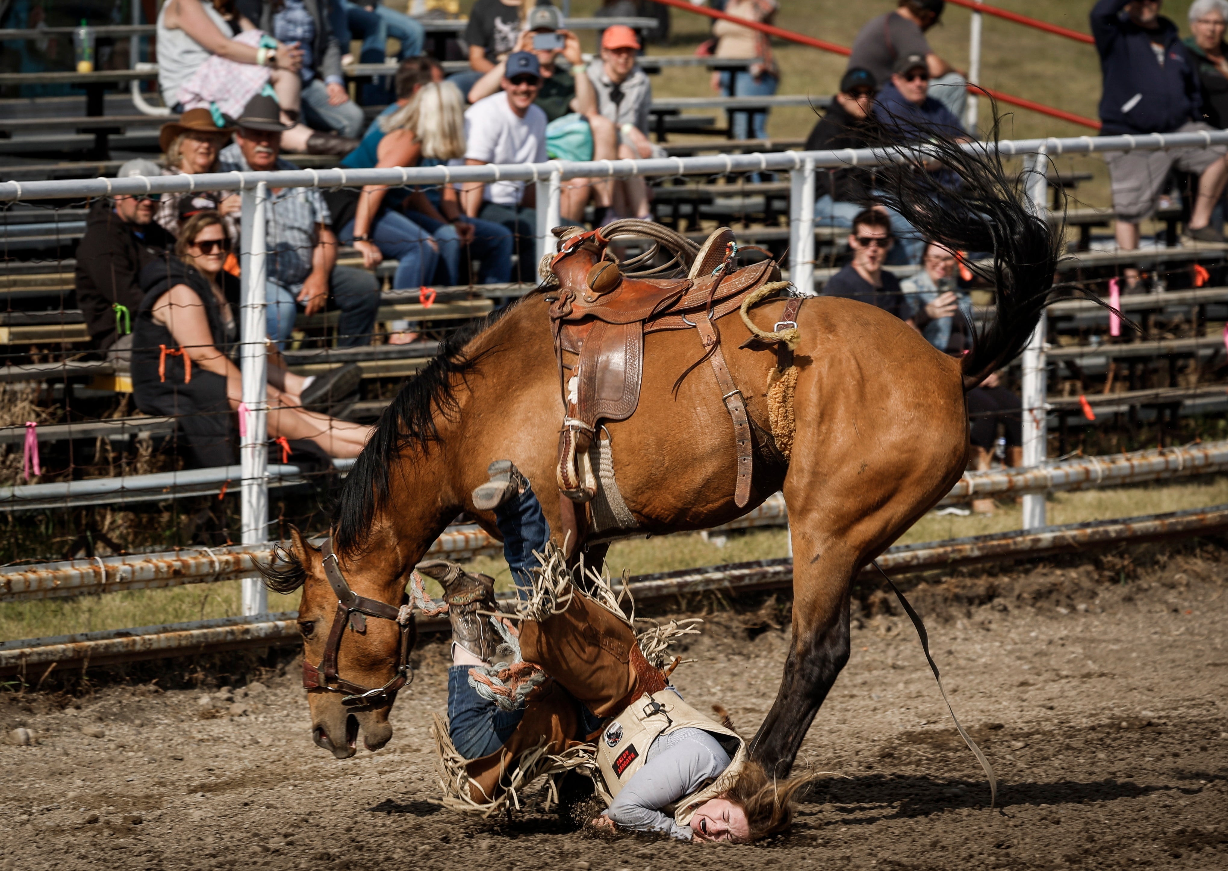 APTOPIX Ranch Bronc Riding