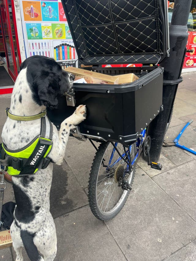 <p>The box appeared to be an ordinary delivery bike box but in reality was a covert cache of illicit goods</p>