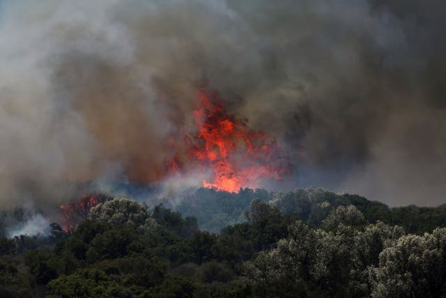 Turkey Wildfire