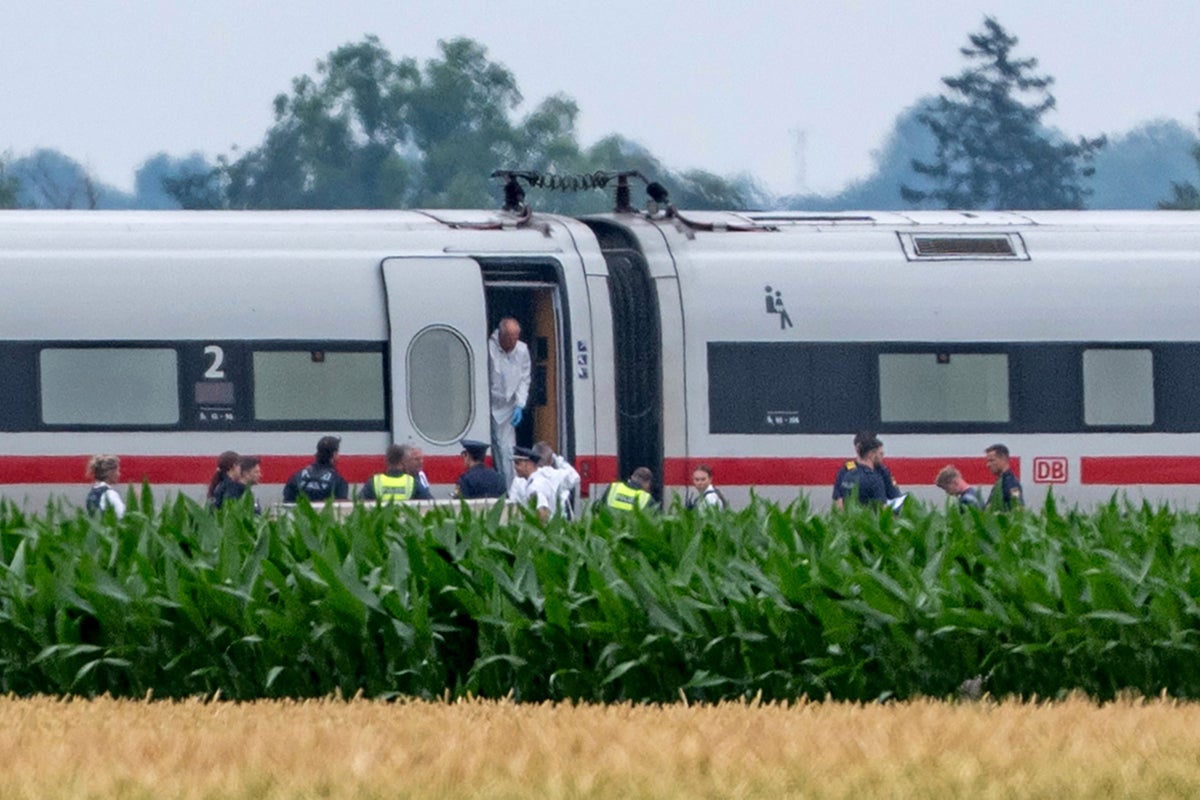 Police say a man injured 4 with an axe on a German train before he was detained