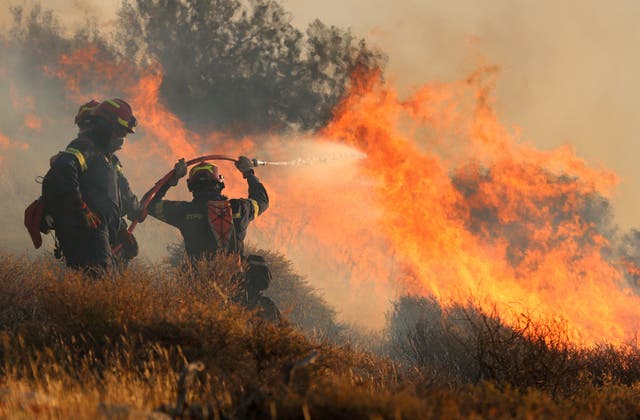 <p>Firefighters try to extinguish a wildfire near Ierapetra, on the island of Crete</p>