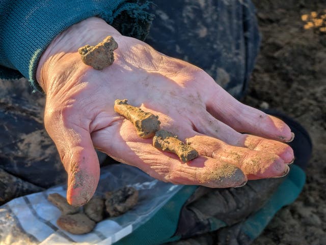 <p>Sue Clemmitt holds the finger bones from a separated human arm which had been found (Cotswold Archaeology/PA)</p>