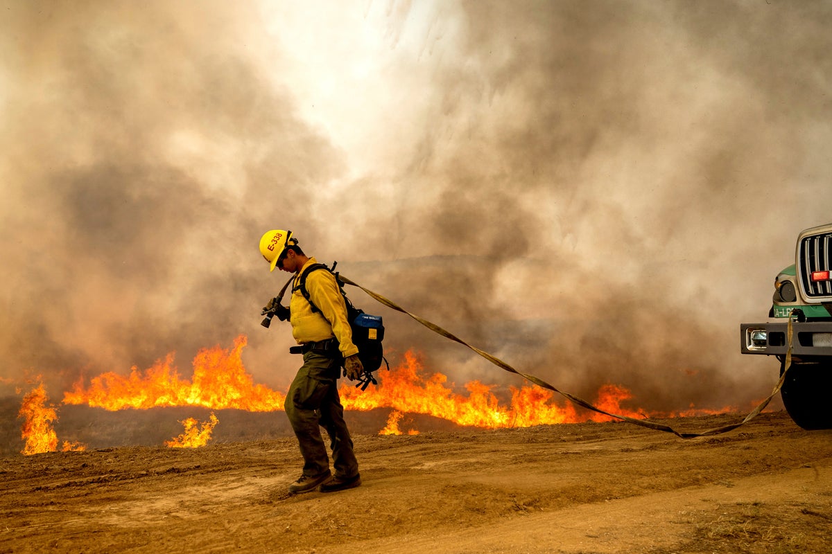 California’s Madre Fire surges across 52,000 acres to become state’s biggest blaze this year