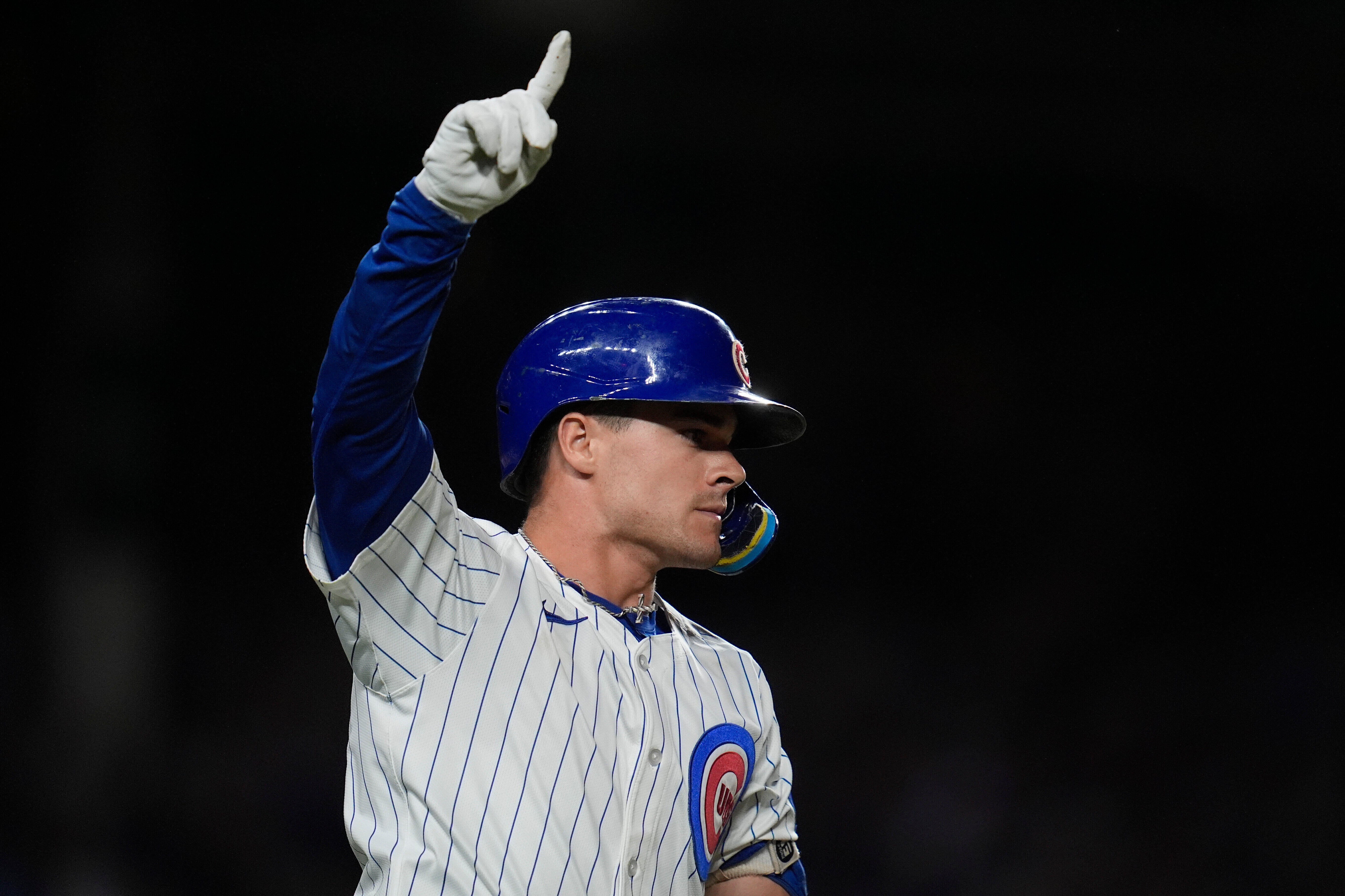 GUARDIANES-CACHORROS