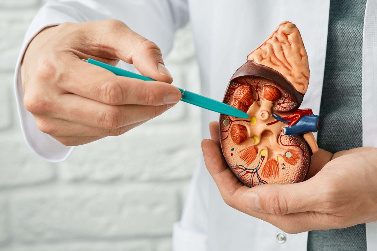 3 kidney risks that increase with age and ways to prevent them