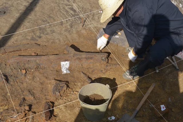 <p>This discovery demonstrates that wooden tools were used by early humans across a broader global range</p>