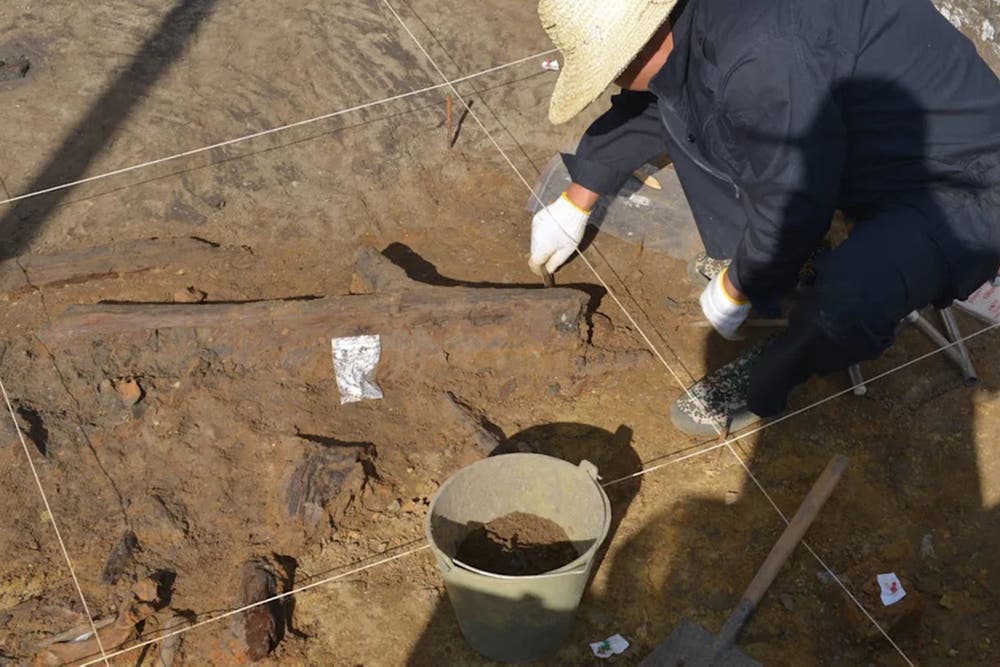 Human Use Tools What the discovery of 300,000-year-old tools reveals about what early ...