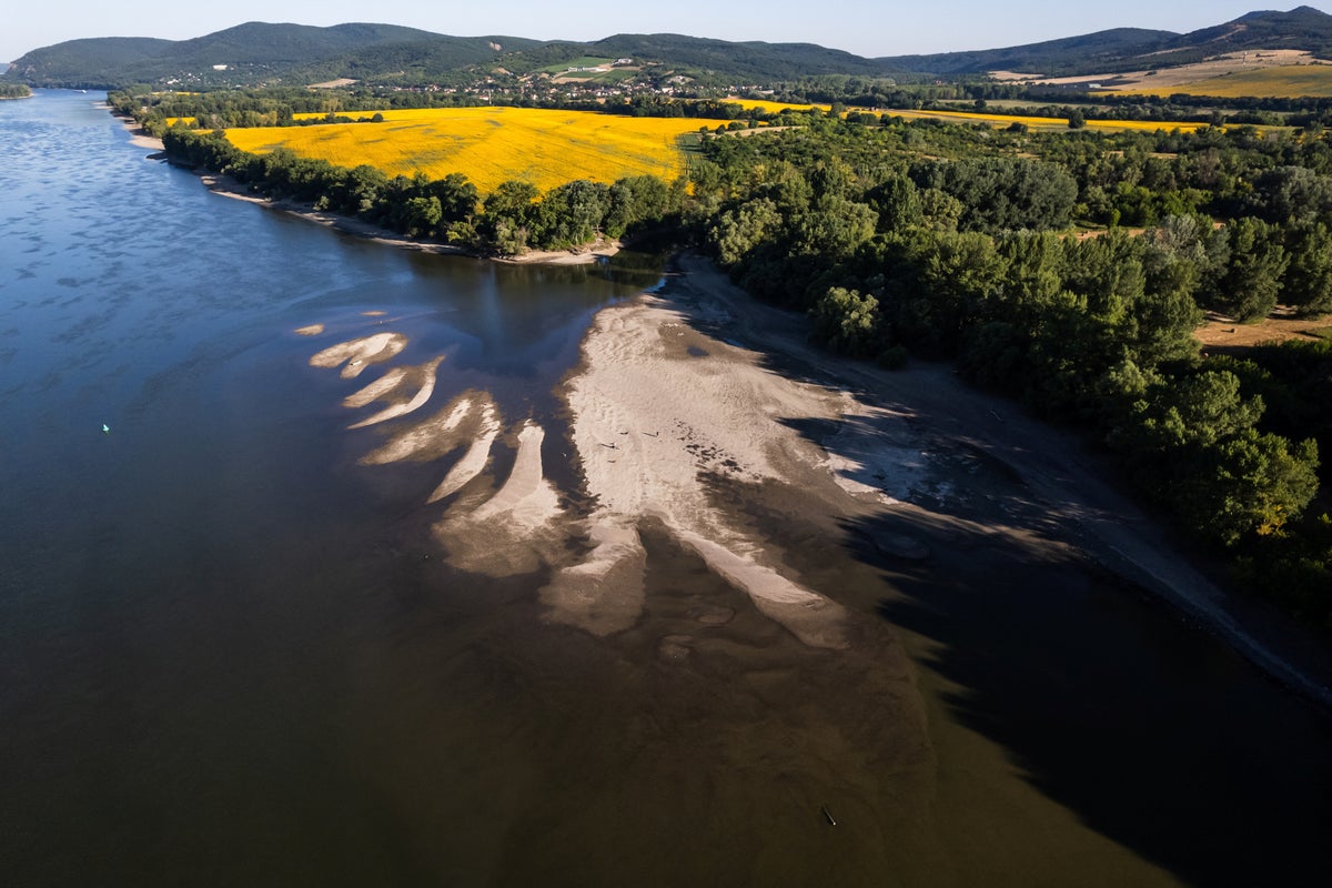 Ships forced to leave cargo behind as heatwave hits one of Europe’s longest rivers