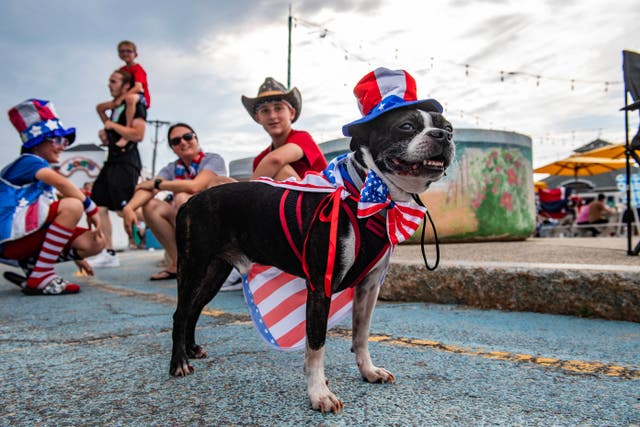 <p>While some dogs are great with loud noises, others may find July Fourth fireworks overwhelming</p>