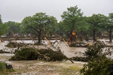 KERRVILLE-TEXAS-JULY-04-Trees-emerge-from-flood-waters-along-the-Guadalupe-River-on-July-4-2025-in-K.jpeg?quality=75&width=230&auto=webp