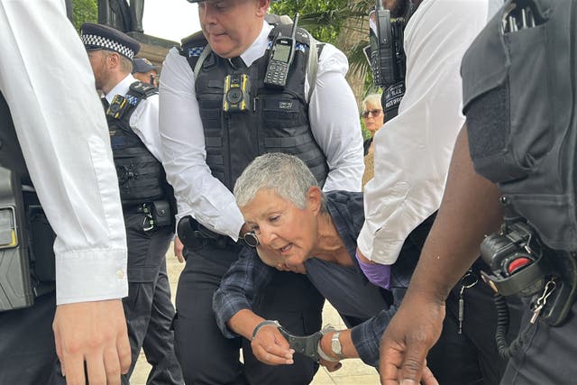 Metropolitan Police officers remove people from a protest in support of Palestine Action in Parliament Square, London (Pol Allingham/PA)
